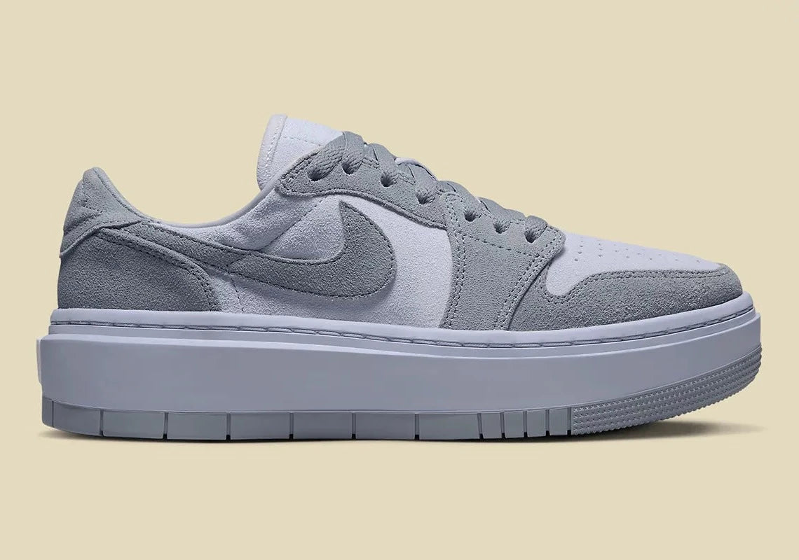 Jordan 1 Elevate Low Stealth Titanium