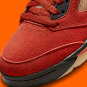 Jordan 5 Retro Dunk on Mars