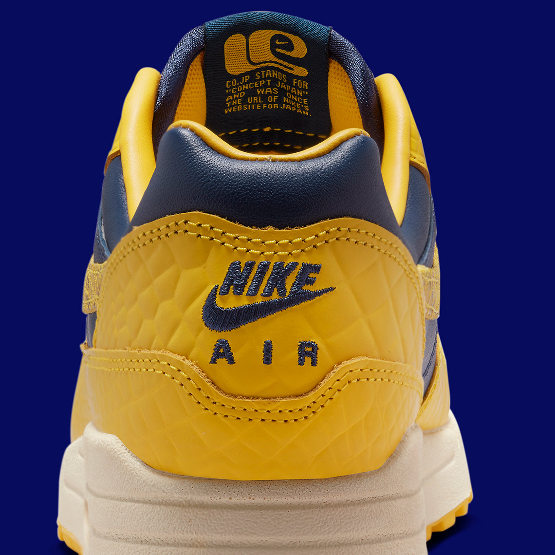 Nike Air Max 1 CO.JP Michigan Head to Head