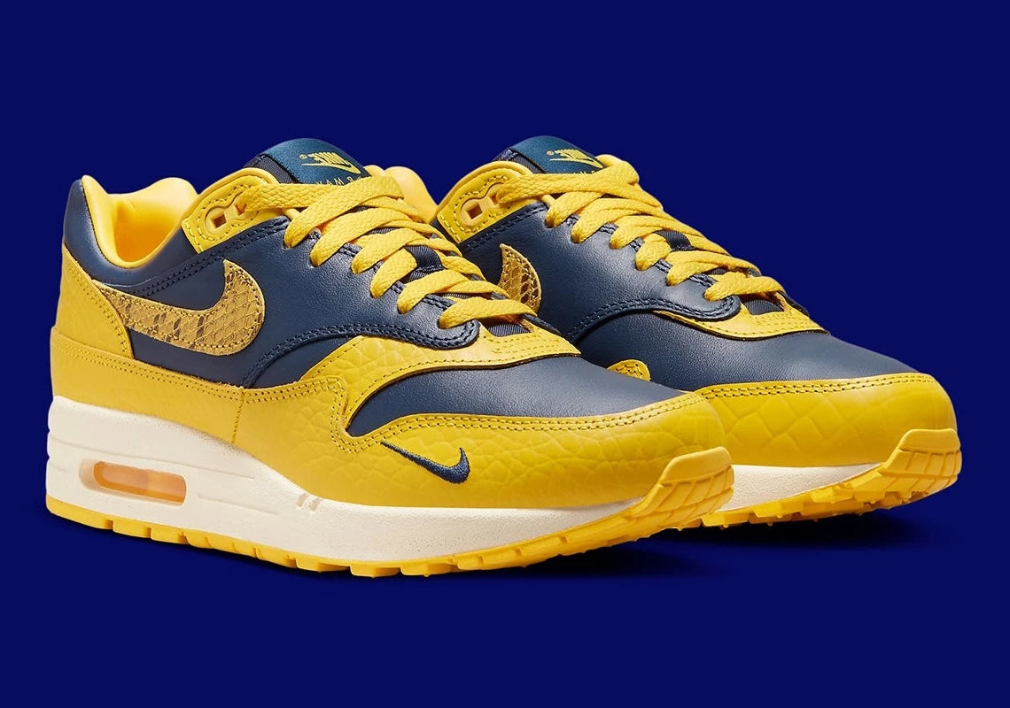 Nike Air Max 1 CO.JP Michigan Head to Head