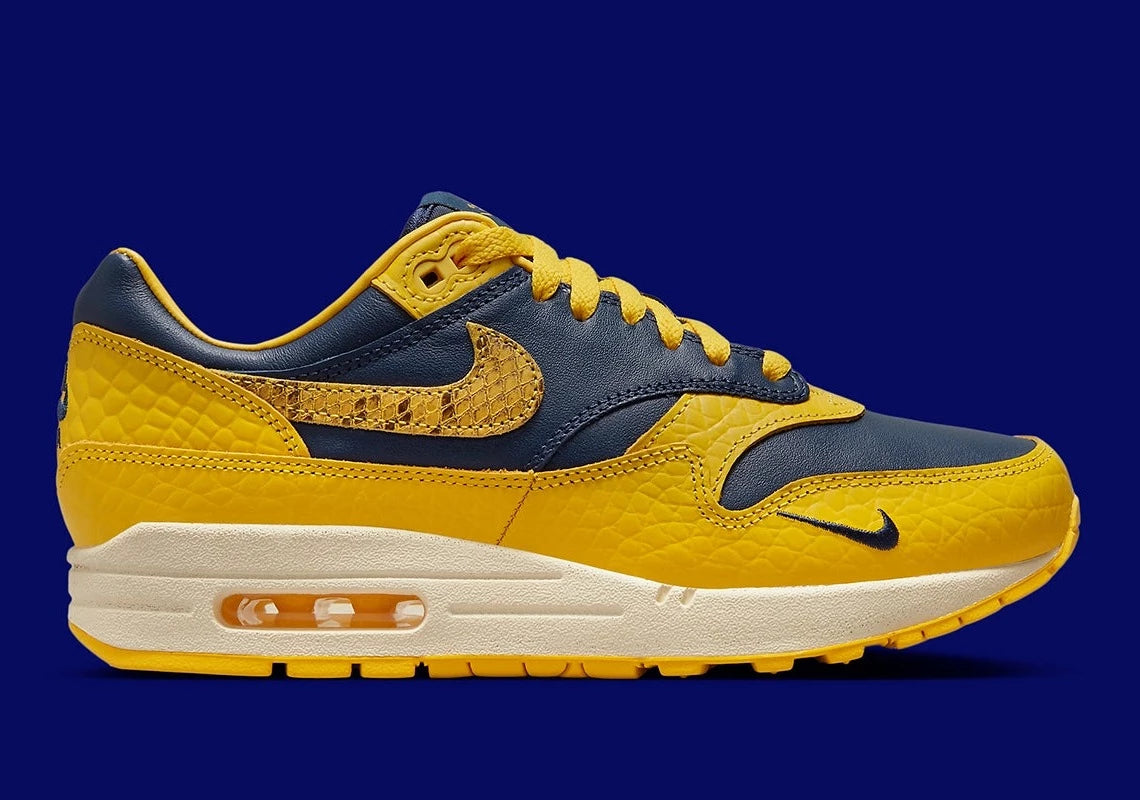 Nike Air Max 1 CO.JP Michigan Head to Head