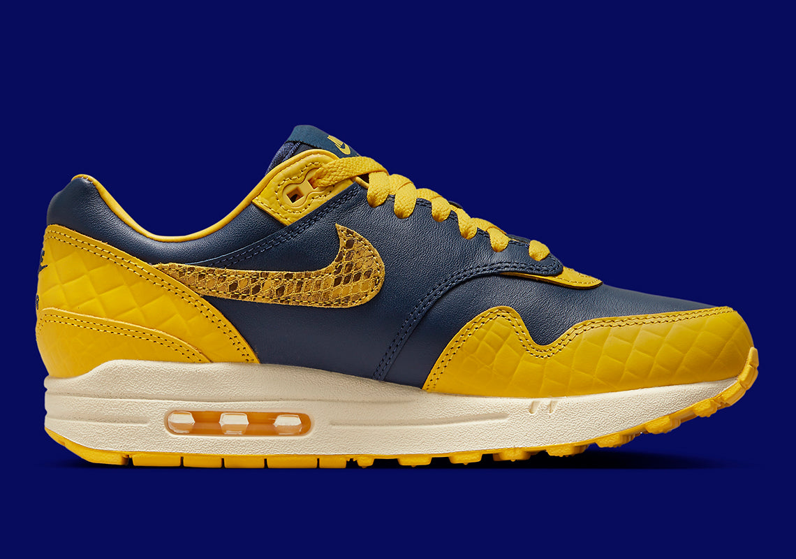 Nike Air Max 1 CO.JP Michigan Head to Head