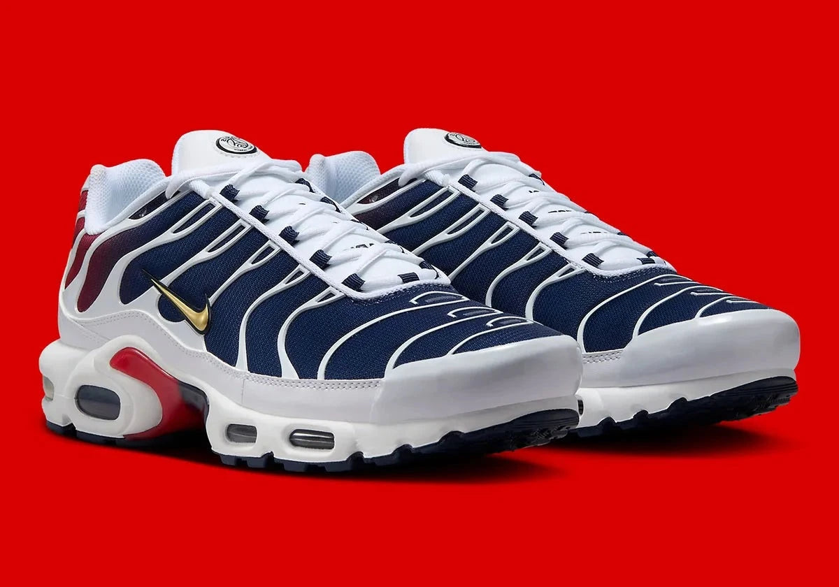 Nike Air Max Plus PSG