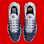 Nike Air Max Plus PSG