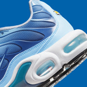 Nike Air Max Plus Celestine Blue