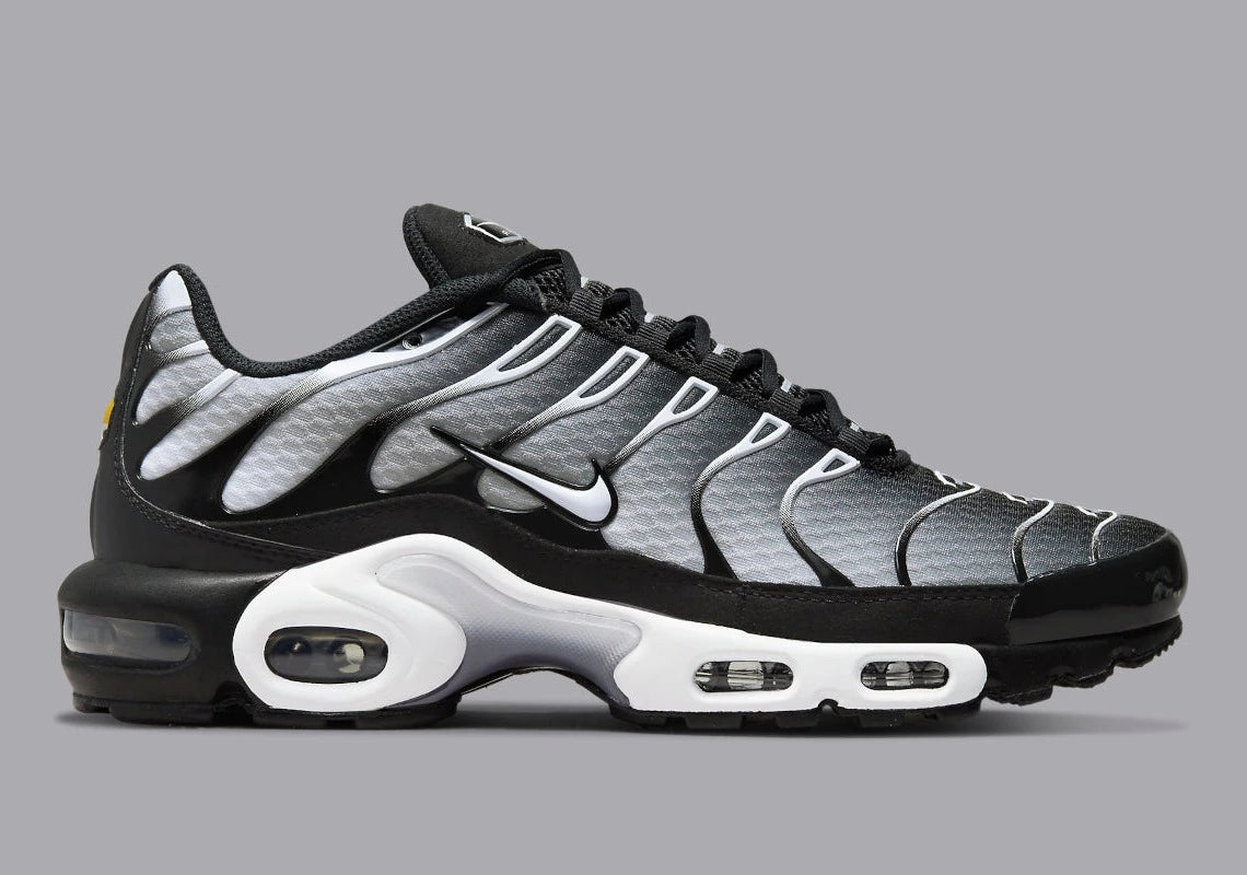 Nike Air Max Plus Black Silver White