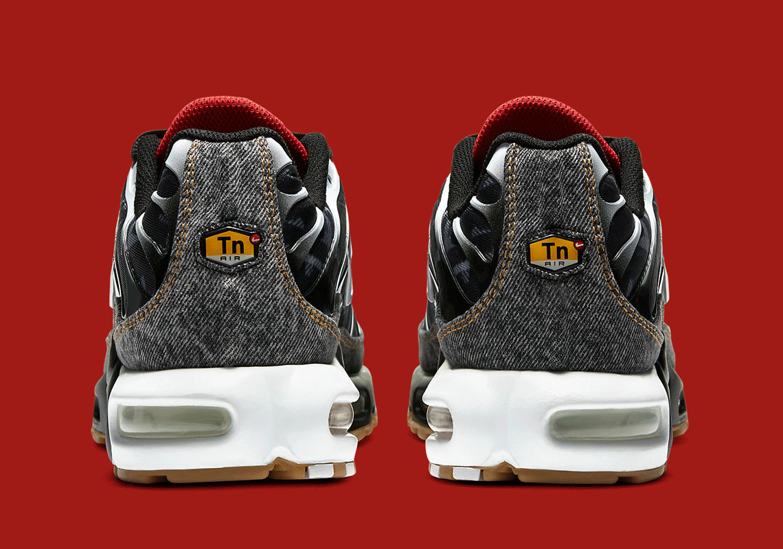 Nike Air Max Plus Remix