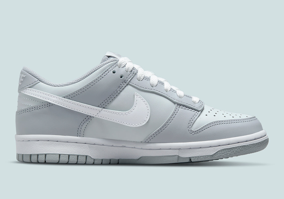 LIVRAISON 72h - Nike Dunk Low Two-Toned Grey