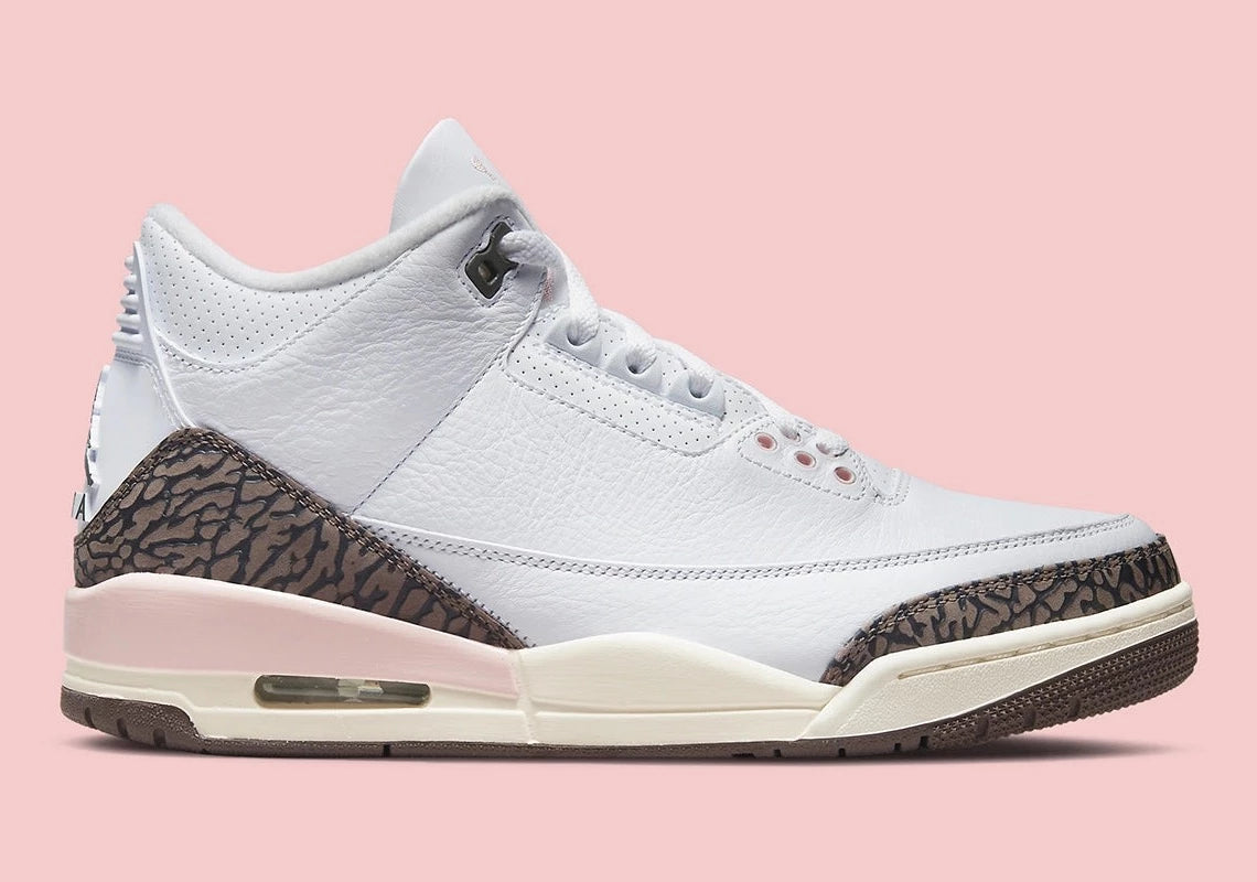 Air Jordan 3 Retro Neapolitan