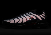 Nike Air Max Plus Bred Reflective