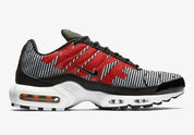 Nike Air Max Plus Striped Black White