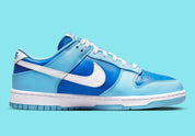 LIVRAISON 72h - Nike Dunk Low Retro QS Argon (2022)