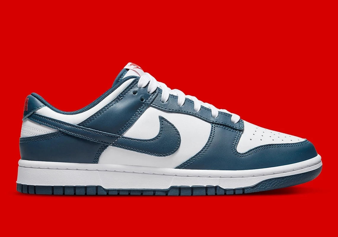 Nike Dunk Low Valerian Blue